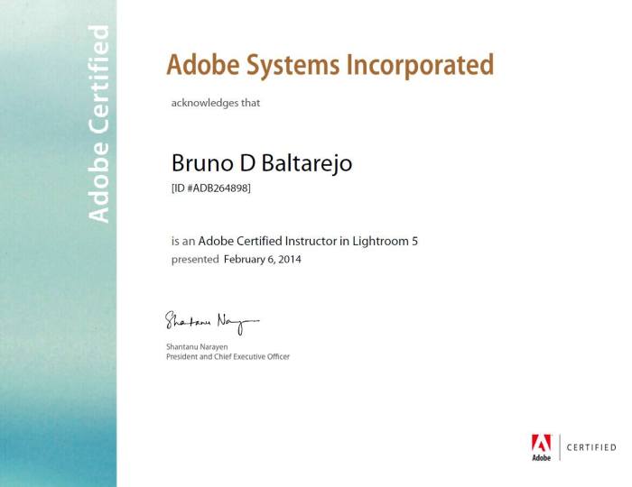 Adobe certified associate training